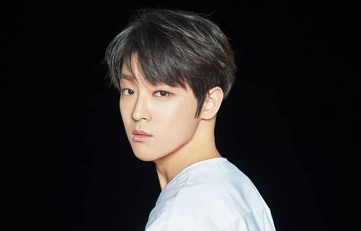 Lee Tae-Vin